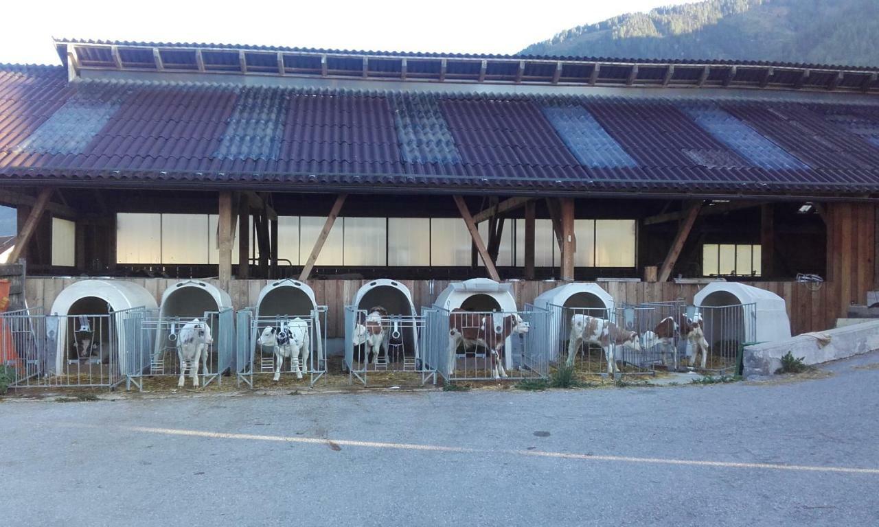 Haus Reinfrank Villa Sankt Michael im Lungau Eksteriør billede
